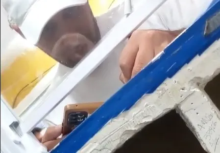 celular