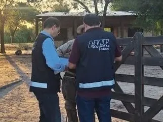 campo