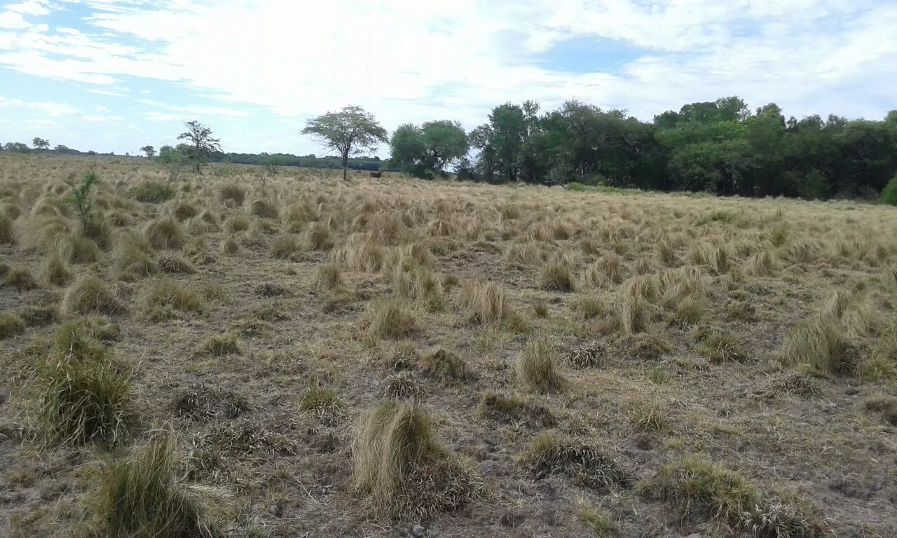 Producción_sectores (1)