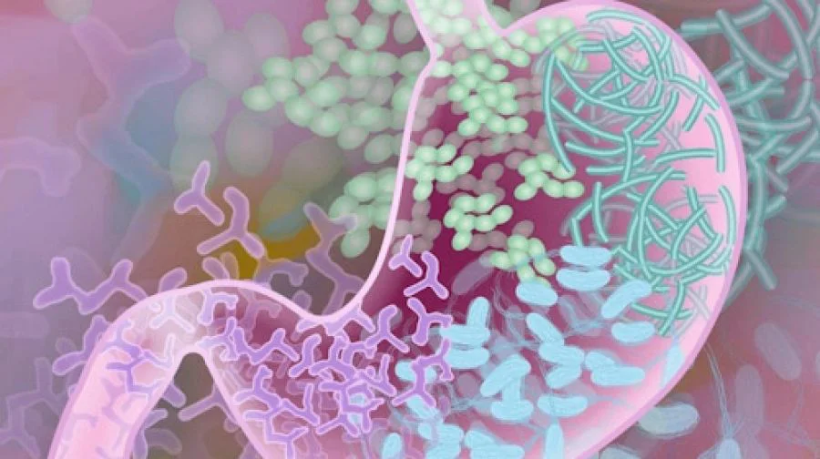 815230.1774998656.jpg_grande (1)