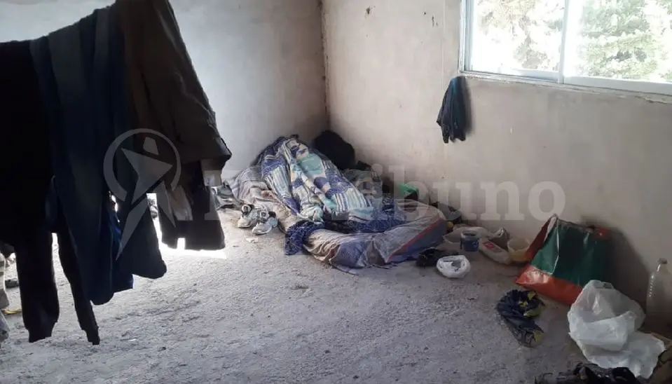 96274_cosecheros_limon_salta