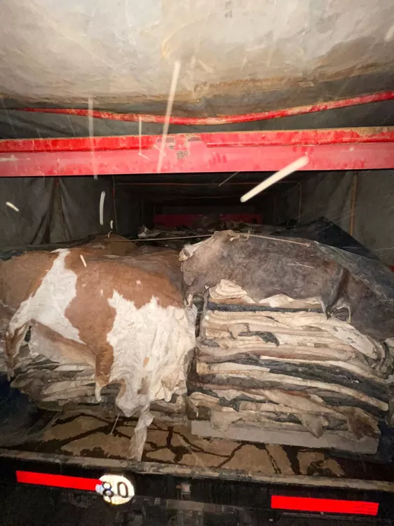 Formosa contrabando y cohecho (3)