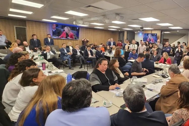 Peticiones-poderes-y-reglamento-bregman