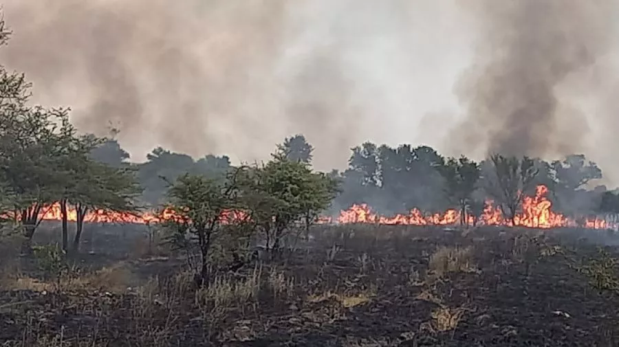 incendios