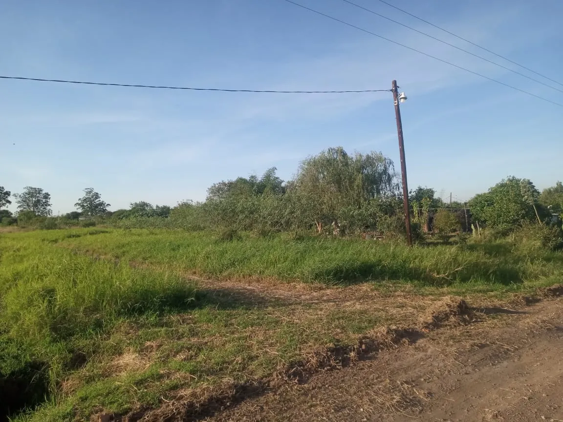 WhatsApp Image 2024-06-11 at 11.31.46 AM