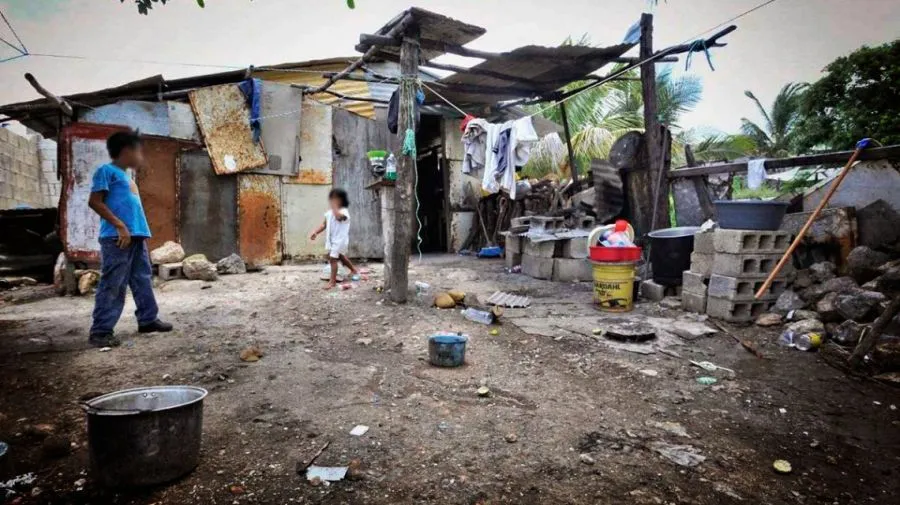 507996.1727403347.jpg_grande