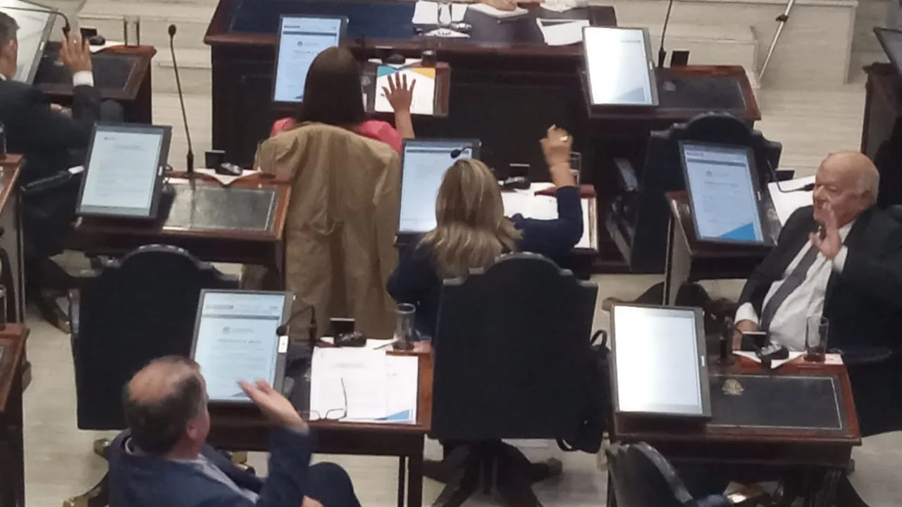 WhatsApp Image 2023-09-07 at 19.36.44